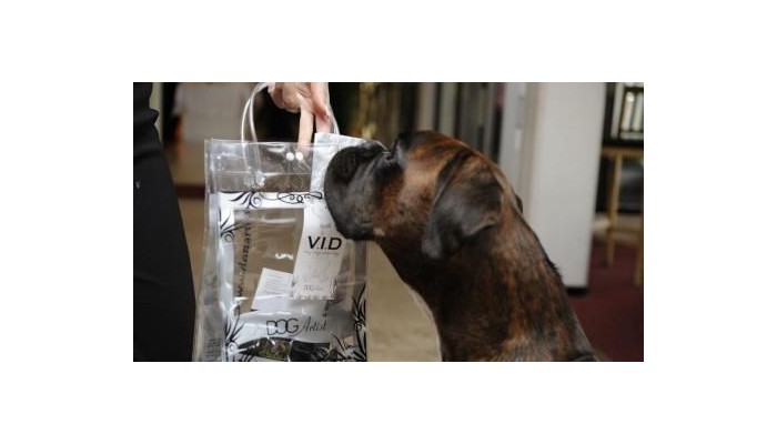 Hotel Best Western Capital poza 17