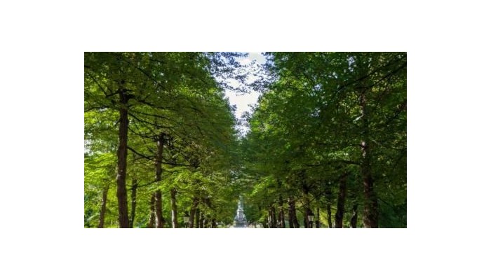 Hotel Elite Eden Park poza 40