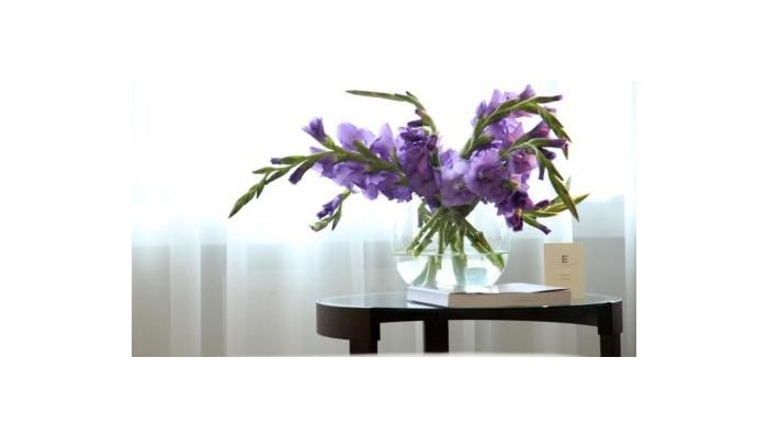 Hotel Elite Eden Park poza 11